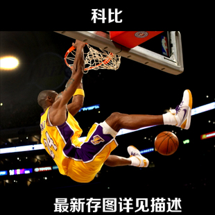 怎么办假伯利兹驾驶证